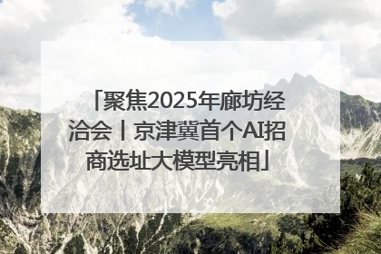 聚焦2025年廊坊经洽会丨京津冀首个AI招商选址大模型亮相