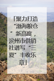 聚力打造“渤海粮仓”新高度，滨州市供销社谱写“三夏”丰收乐章