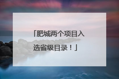肥城两个项目入选省级目录！
