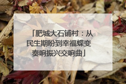 肥城大石铺村：从民生期盼到幸福蝶变奏响振兴交响曲