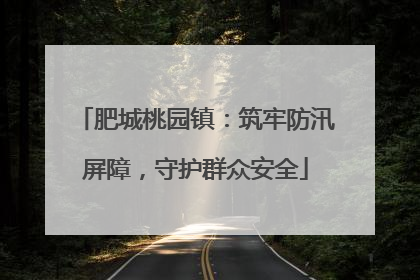 肥城桃园镇：筑牢防汛屏障，守护群众安全