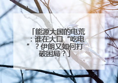 能源大国的电荒：谁在大口“吃电”？伊朗又如何打破困局？