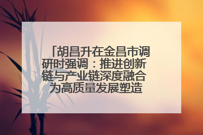 胡昌升在金昌市调研时强调：推进创新链与产业链深度融合 为高质量发展塑造新动能新优势