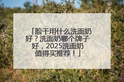 脸干用什么洗面奶好？洗面奶哪个牌子好，2025洗面奶值得买推荐！
