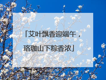 艾叶飘香迎端午，珞珈山下粽香浓
