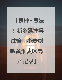 良种+良法！新乡延津县试验田小麦刷新黄淮麦区高产记录