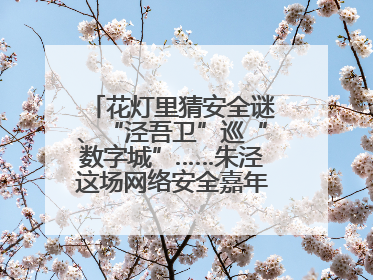 花灯里猜安全谜、“泾吾卫”巡“数字城”……朱泾这场网络安全嘉年华太会玩了