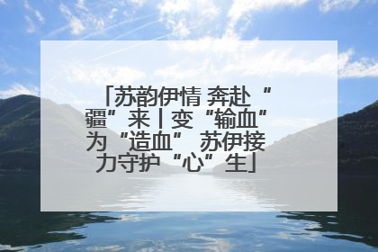苏韵伊情 奔赴“疆”来丨变“输血”为“造血” 苏伊接力守护“心”生