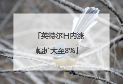 英特尔日内涨幅扩大至8%