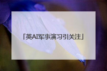 英AI军事演习引关注