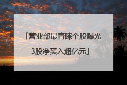 营业部最青睐个股曝光 3股净买入超亿元