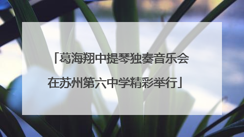 葛海翔中提琴独奏音乐会在苏州第六中学精彩举行