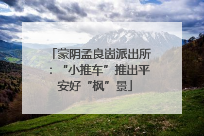 蒙阴孟良崮派出所：“小推车”推出平安好“枫”景