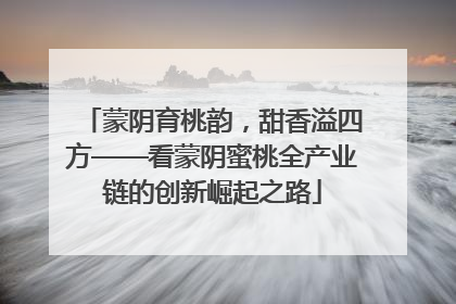 蒙阴育桃韵，甜香溢四方——看蒙阴蜜桃全产业链的创新崛起之路
