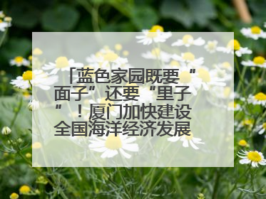 蓝色家园既要“面子”还要“里子”！厦门加快建设全国海洋经济发展示范区