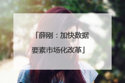 薛刚：加快数据要素市场化改革