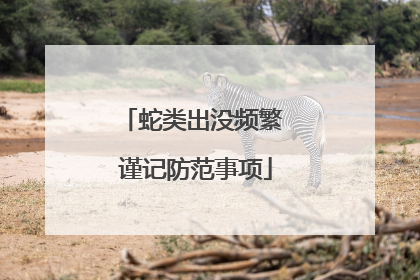 蛇类出没频繁 谨记防范事项