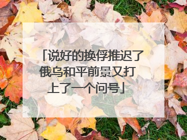 说好的换俘推迟了 俄乌和平前景又打上了一个问号