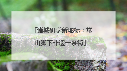 诸城研学新地标：常山脚下非遗一条街