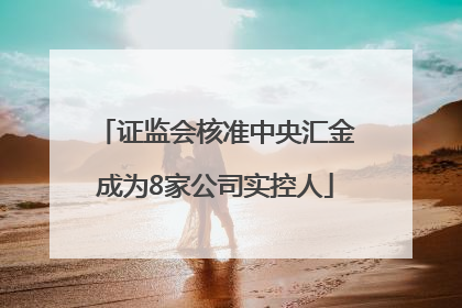 证监会核准中央汇金成为8家公司实控人