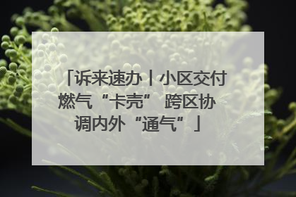 诉来速办丨小区交付燃气“卡壳” 跨区协调内外“通气”