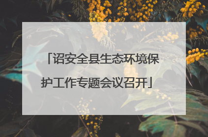诏安全县生态环境保护工作专题会议召开