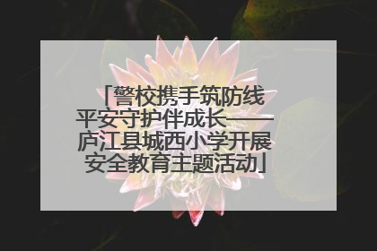 警校携手筑防线 平安守护伴成长——庐江县城西小学开展安全教育主题活动