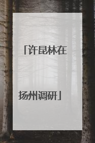 许昆林在扬州调研