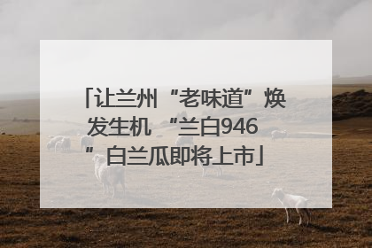 让兰州“老味道”焕发生机 “兰白946”白兰瓜即将上市