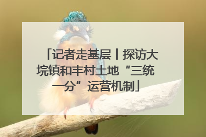 记者走基层丨探访大垸镇和丰村土地“三统一分”运营机制
