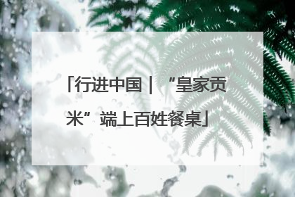行进中国｜“皇家贡米”端上百姓餐桌