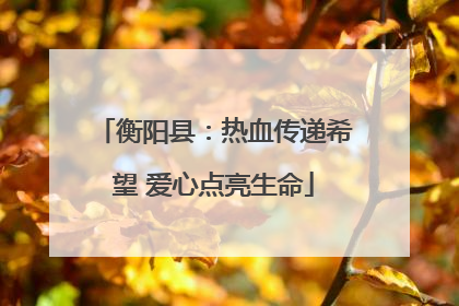 衡阳县：热血传递希望 爱心点亮生命