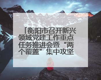 衡阳市召开新兴领域党建工作重点任务推进会暨“两个覆盖”集中攻坚工作专班 第一次会议