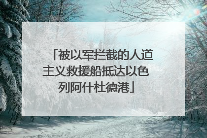 被以军拦截的人道主义救援船抵达以色列阿什杜德港