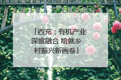 西充：有机产业深度融合 绘就乡村振兴新画卷