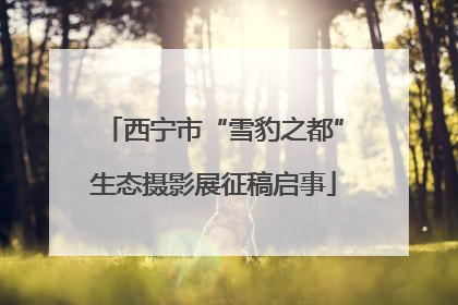 西宁市“雪豹之都”生态摄影展征稿启事