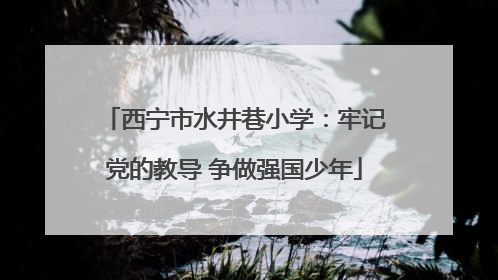西宁市水井巷小学：牢记党的教导 争做强国少年