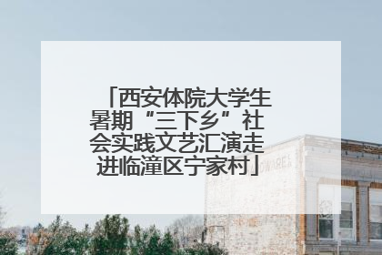 西安体院大学生暑期“三下乡”社会实践文艺汇演走进临潼区宁家村