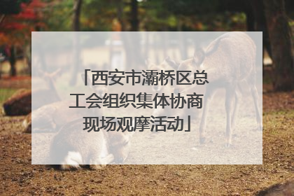 西安市灞桥区总工会组织集体协商现场观摩活动