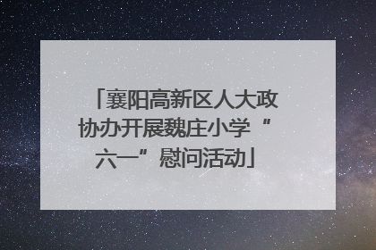 襄阳高新区人大政协办开展魏庄小学“六一”慰问活动