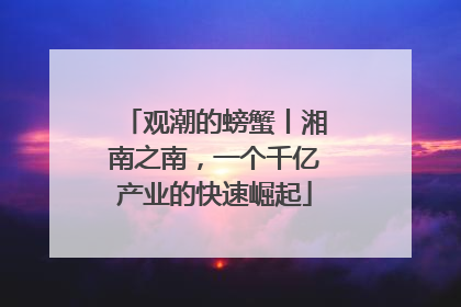 观潮的螃蟹丨湘南之南，一个千亿产业的快速崛起