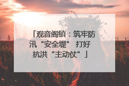 观音阁镇：筑牢防汛“安全堤” 打好抗洪“主动仗”