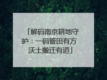 解码南京耕地守护：一码管田有方 沃土搬迁有道