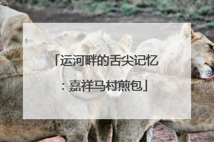 运河畔的舌尖记忆：嘉祥马村煎包