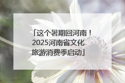 这个暑期回河南！2025河南省文化旅游消费季启动