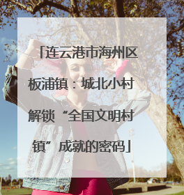 连云港市海州区板浦镇：城北小村解锁“全国文明村镇”成就的密码