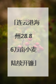 连云港海州28.86万亩小麦陆续开镰
