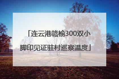 连云港赣榆300双小脚印见证驻村巡察温度
