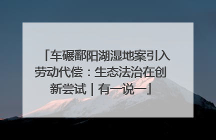 车碾鄱阳湖湿地案引入劳动代偿：生态法治在创新尝试｜有一说一