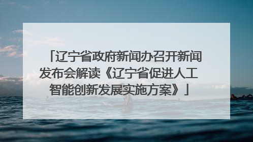 辽宁省政府新闻办召开新闻发布会解读《辽宁省促进人工智能创新发展实施方案》